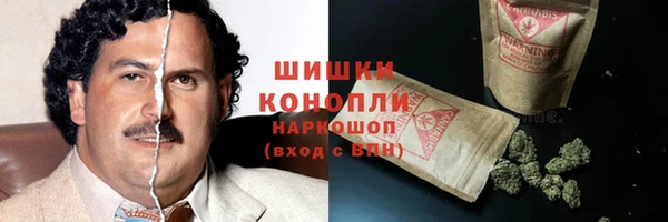 тгк Козловка