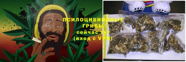 тгк Козловка
